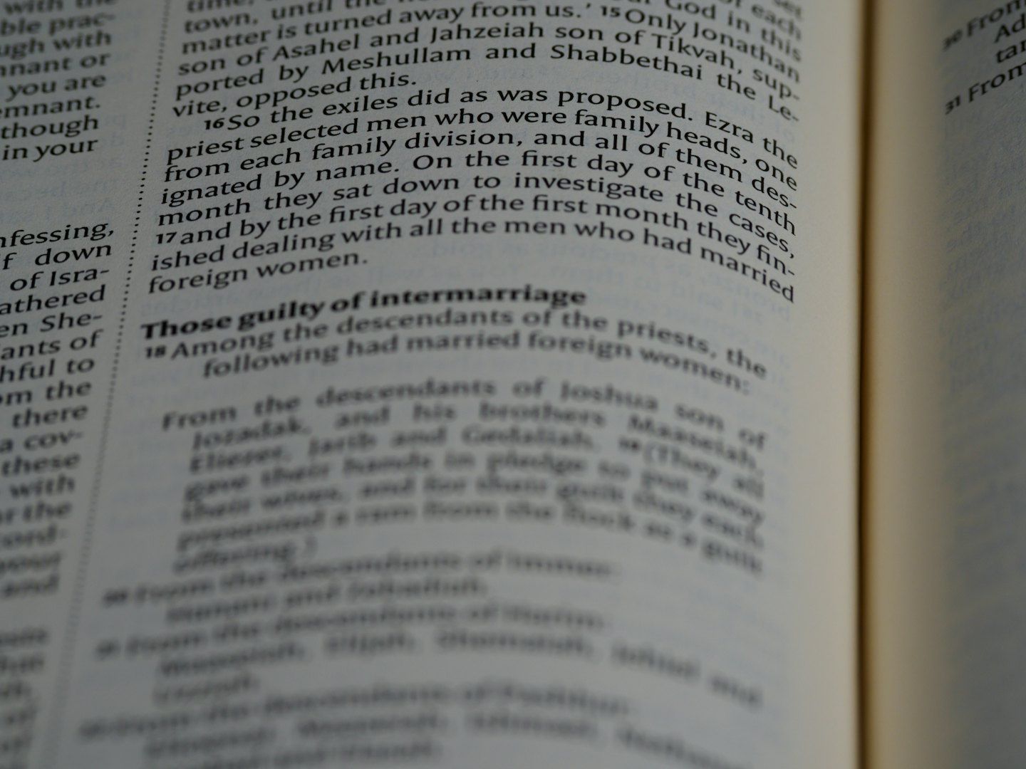 Legal Interpreter
